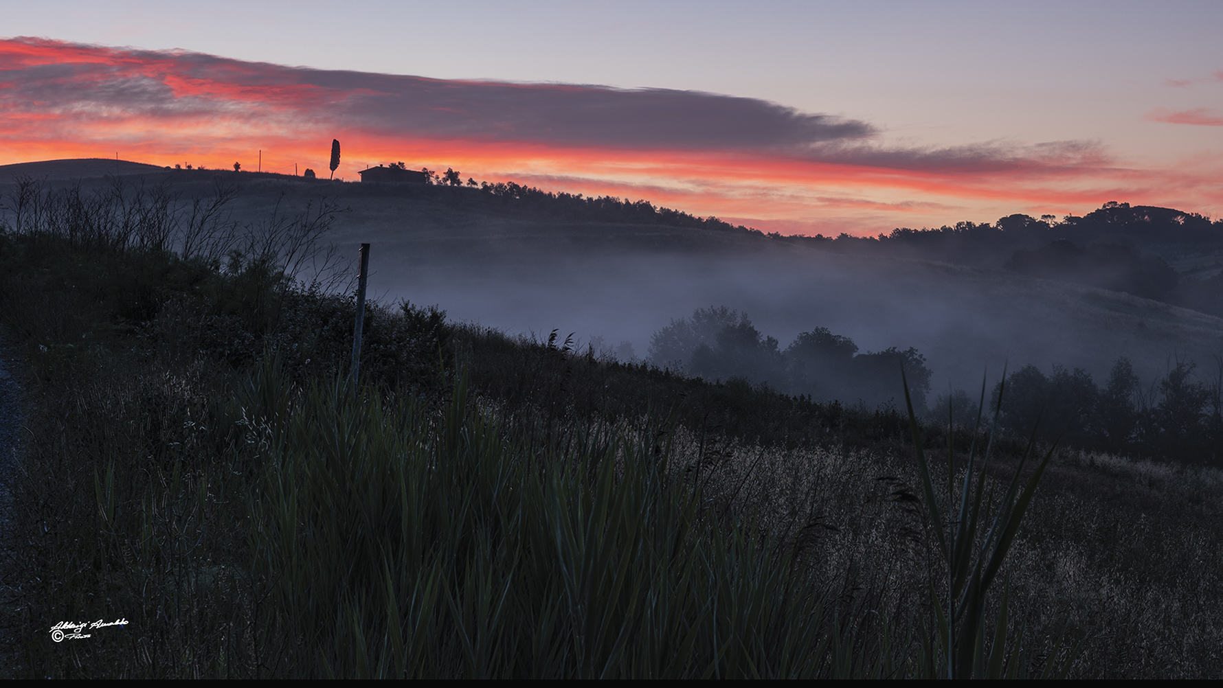 Colori di questa mattina dell'ora Blu e ora d'oro..