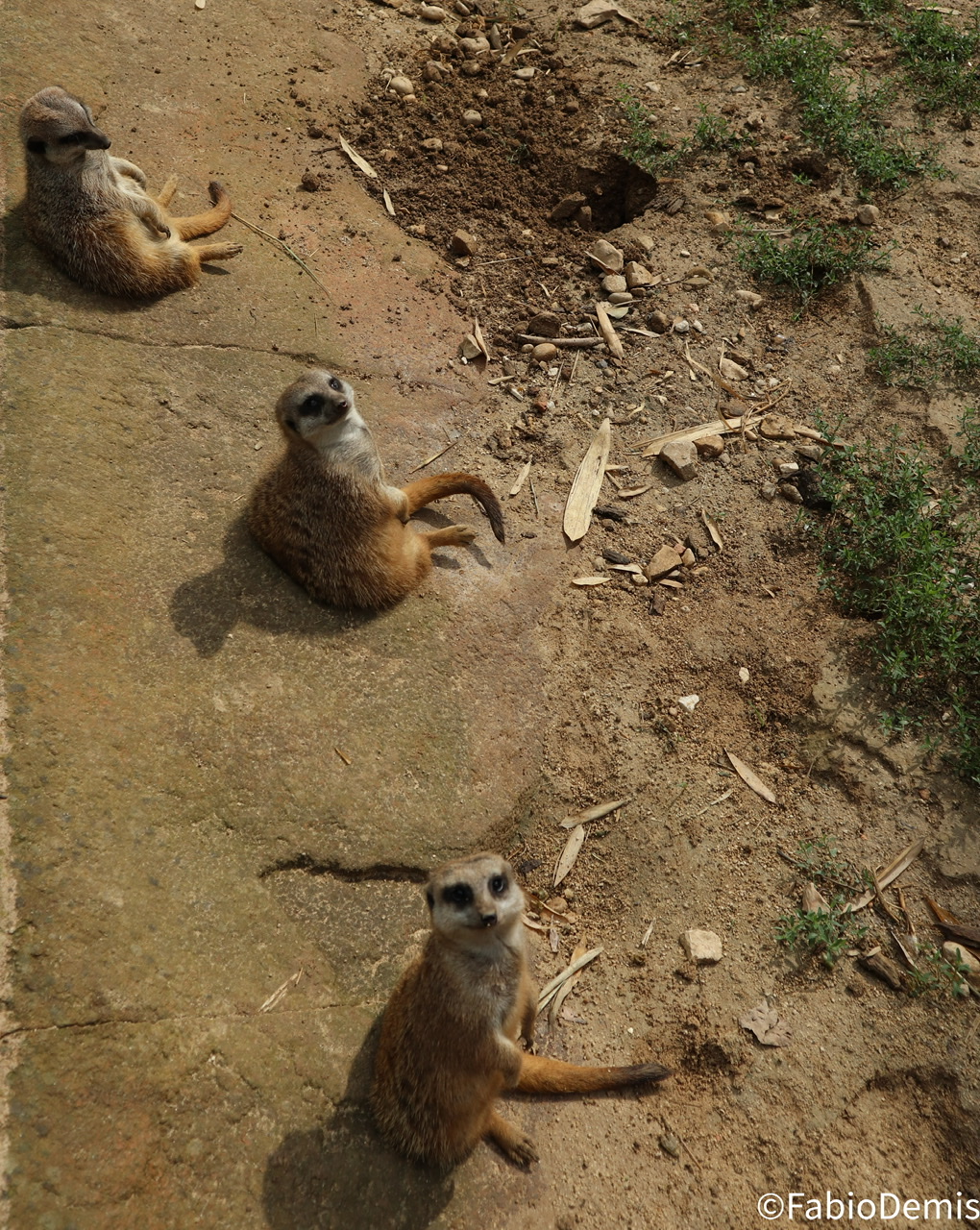 In posa rispettando le distanze sociali