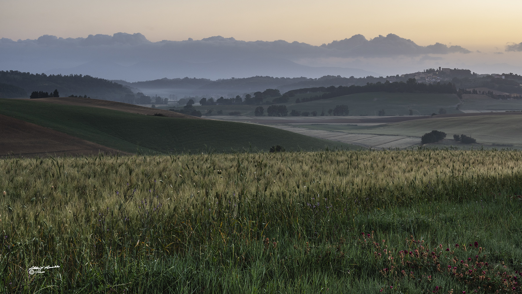 Prima del sorgere del sole..