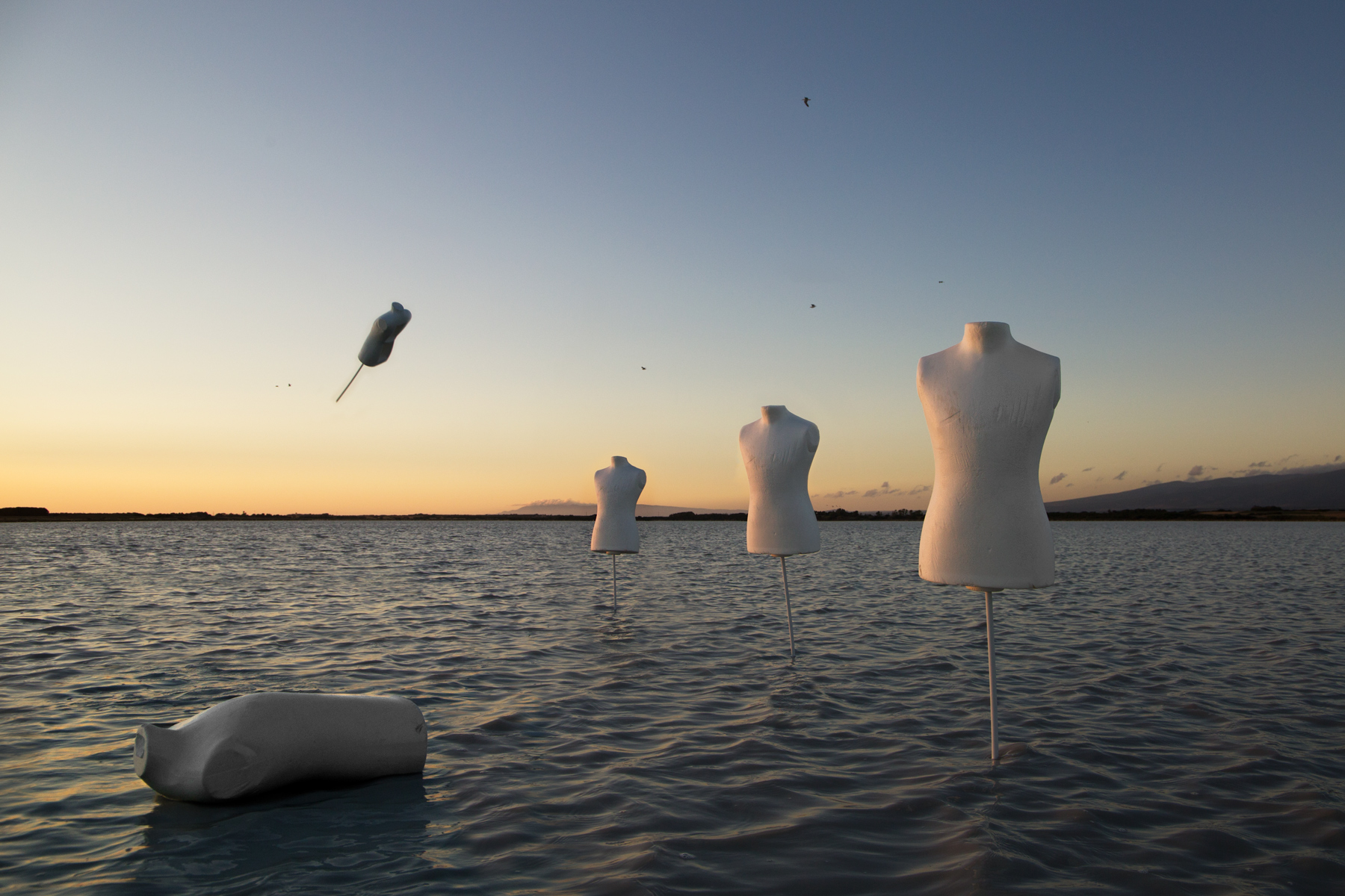 Omaggio a Storm Thorgerson