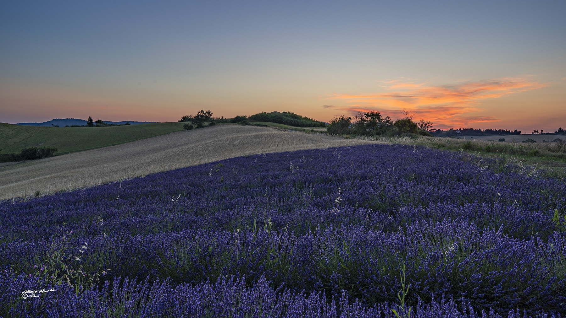 Colori.. lavanda, grano..al Tramonto.