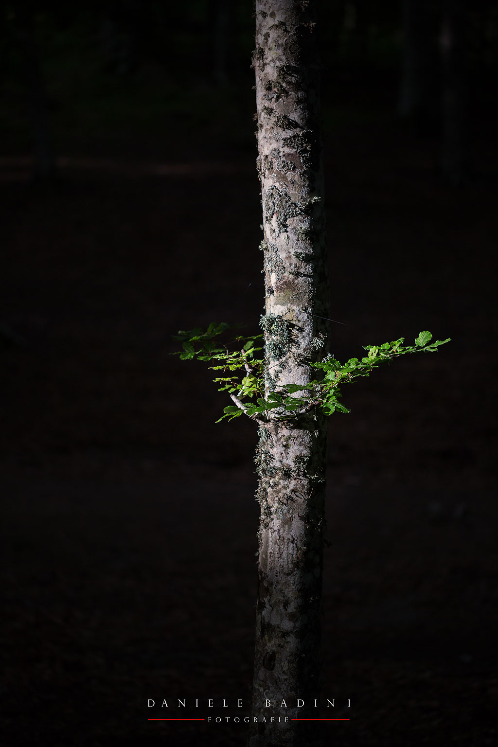 uno spiraglio di luce