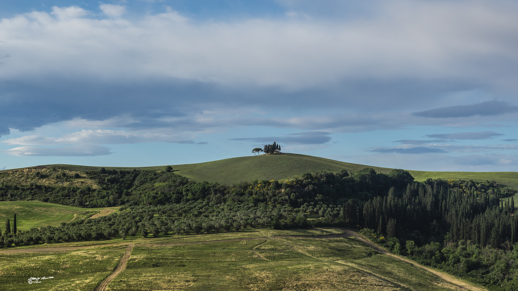 Colline Toscane nel verde.