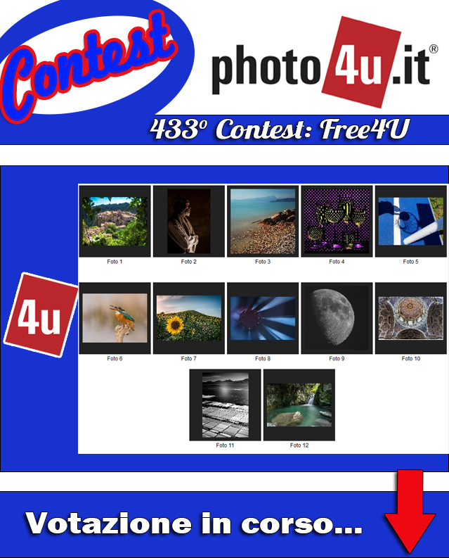 433� Contest: Free4U Votazione in corso...