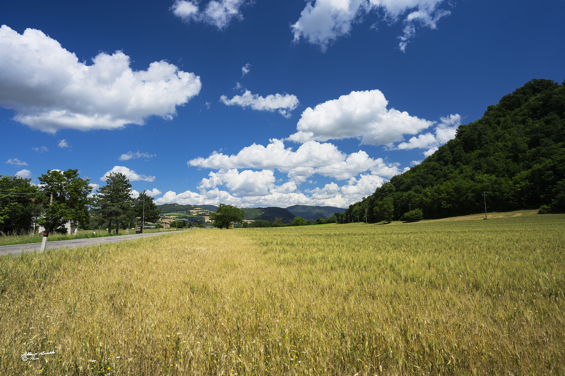 Campagna delle Marche..