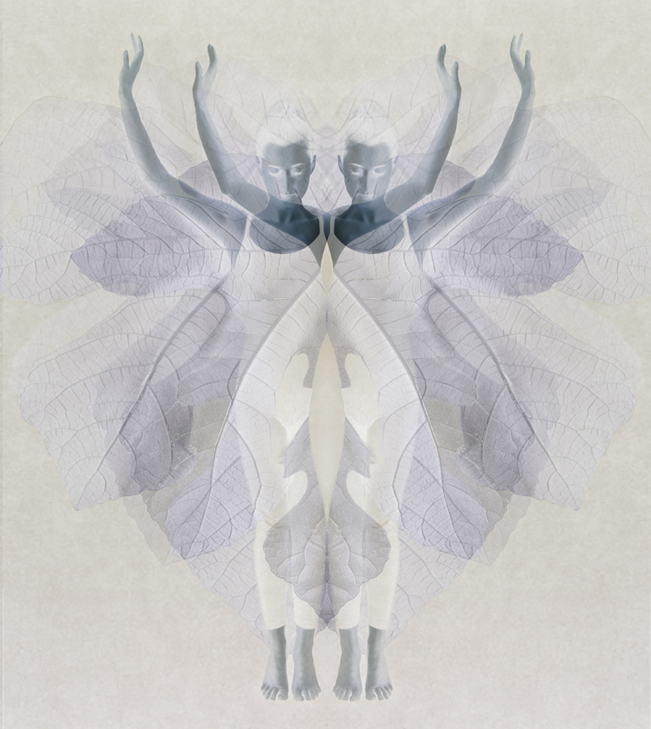 il calabrone non lo sa ma...