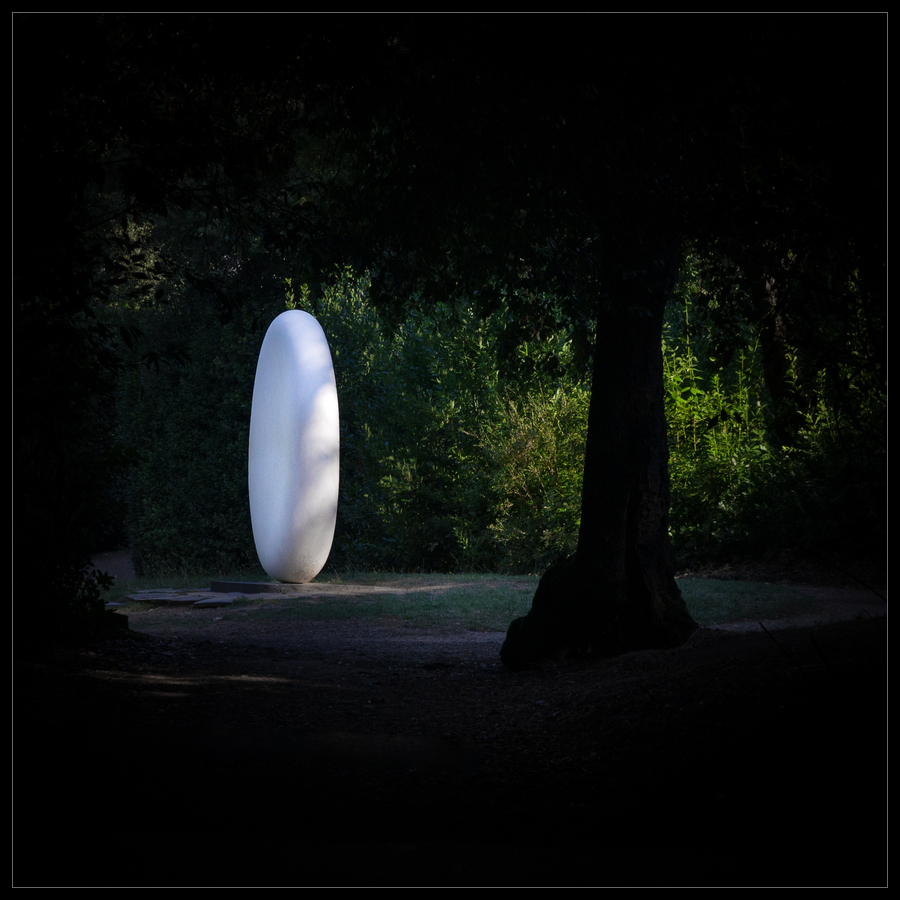 sue�o en la foresta