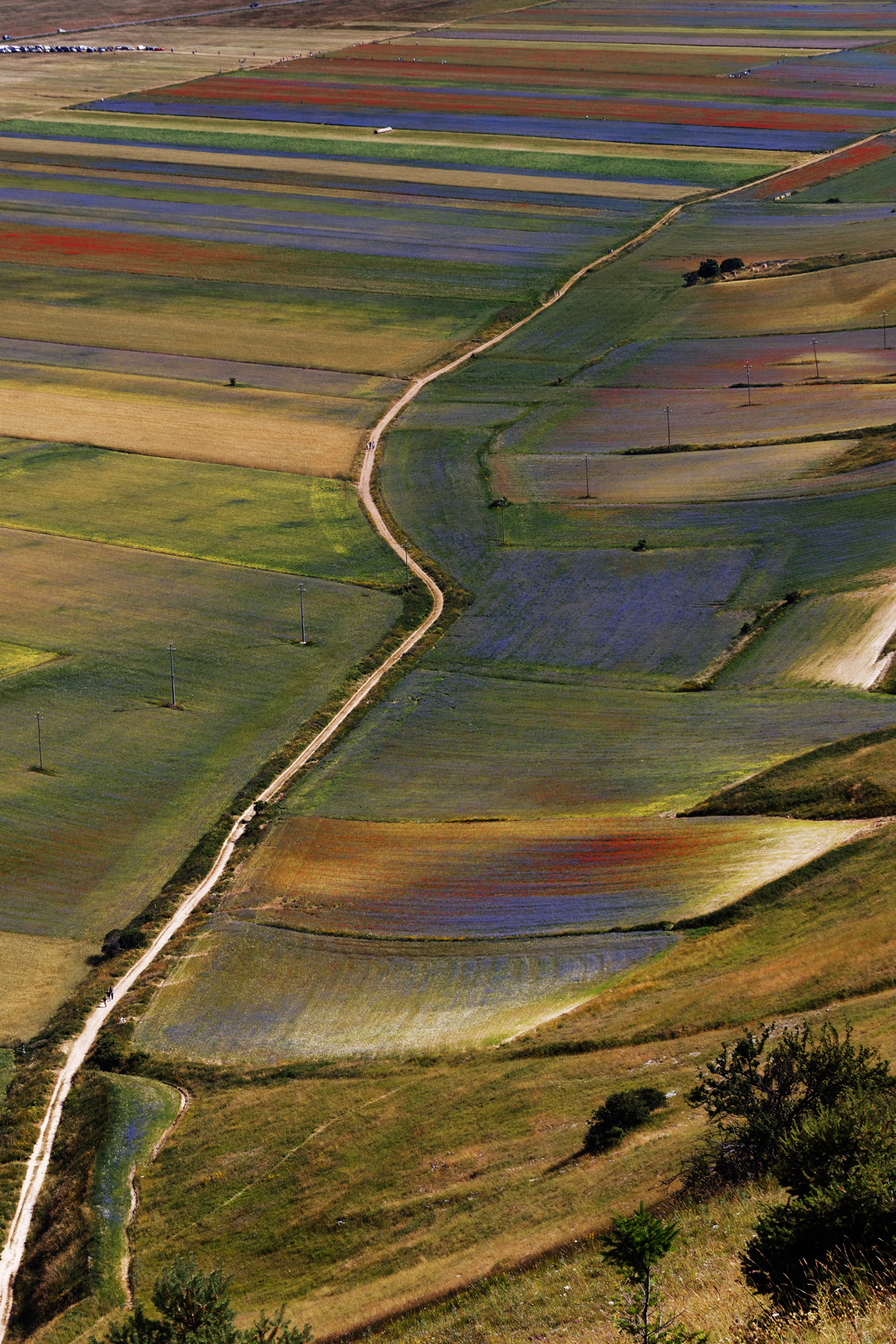 Castelluccio