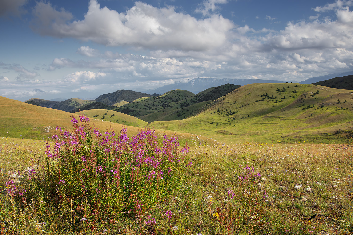 Grandi-spazi_DSC0883