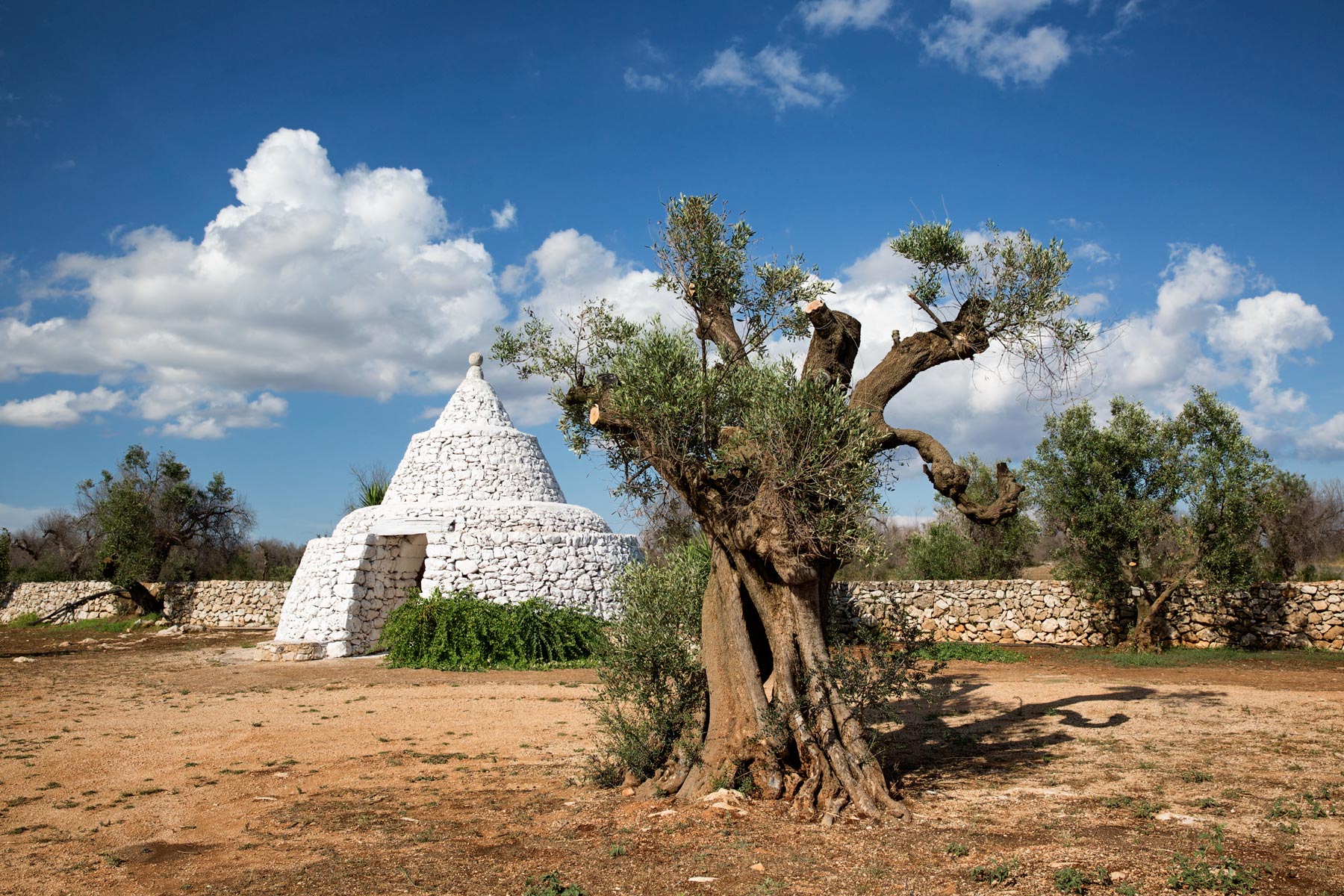 La Speranza di Ricrescita