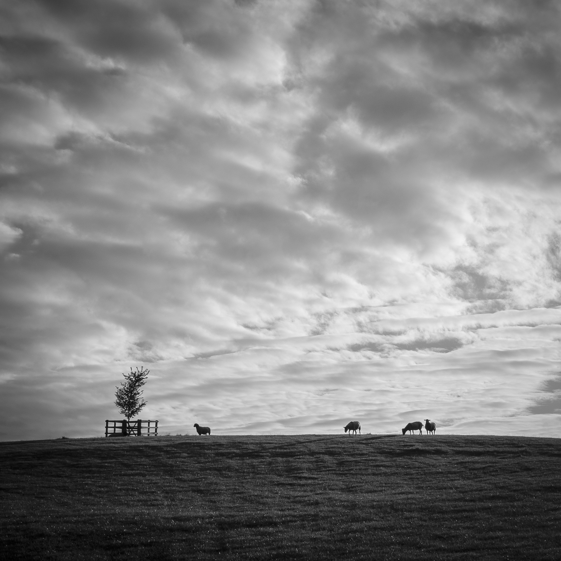 Woodham Mortimer, Maldon, Essex, September 2020