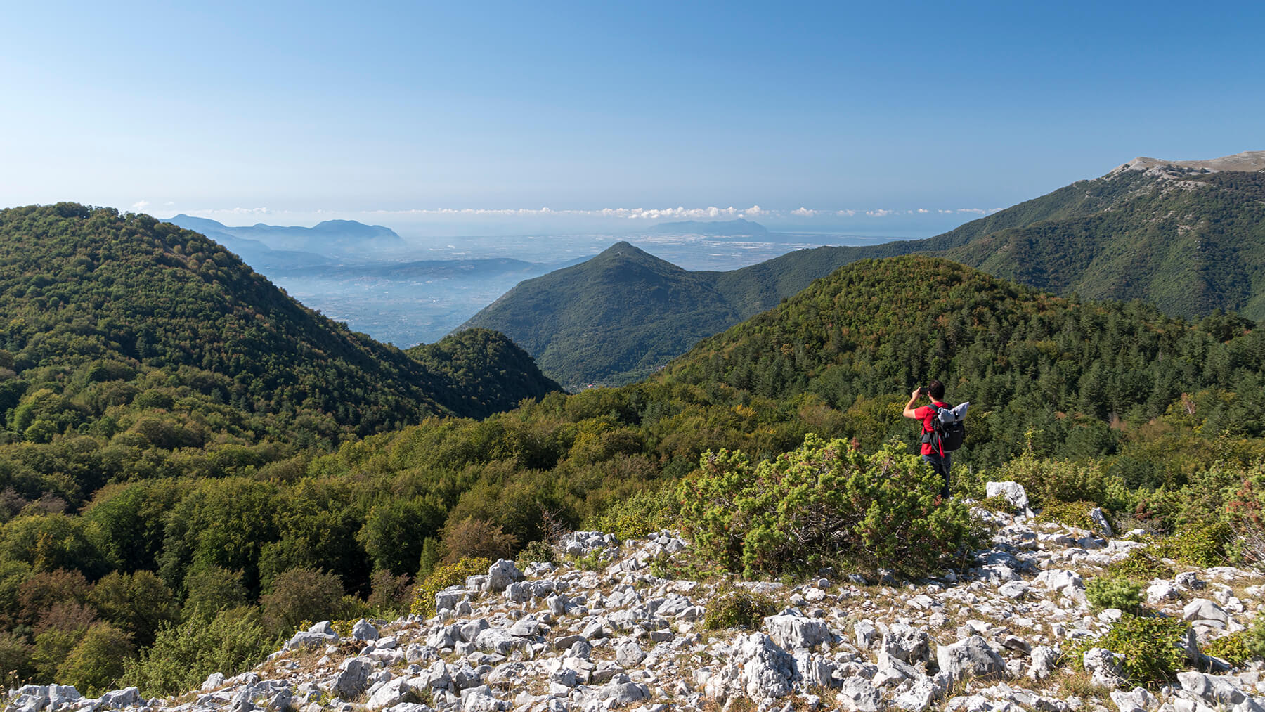 S_Serena_Morolo_FR_Set2020