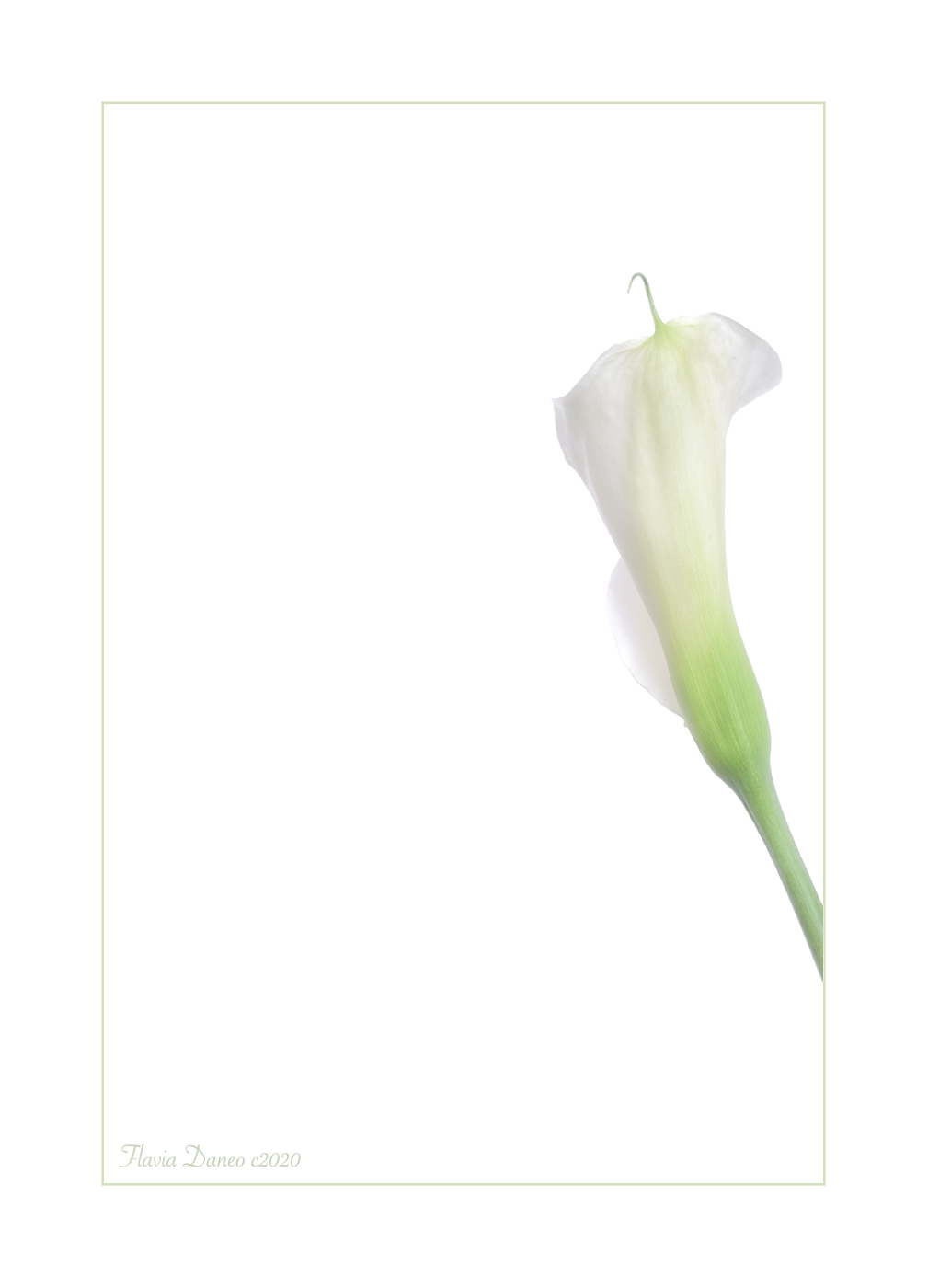 L'eleganza sussurrata