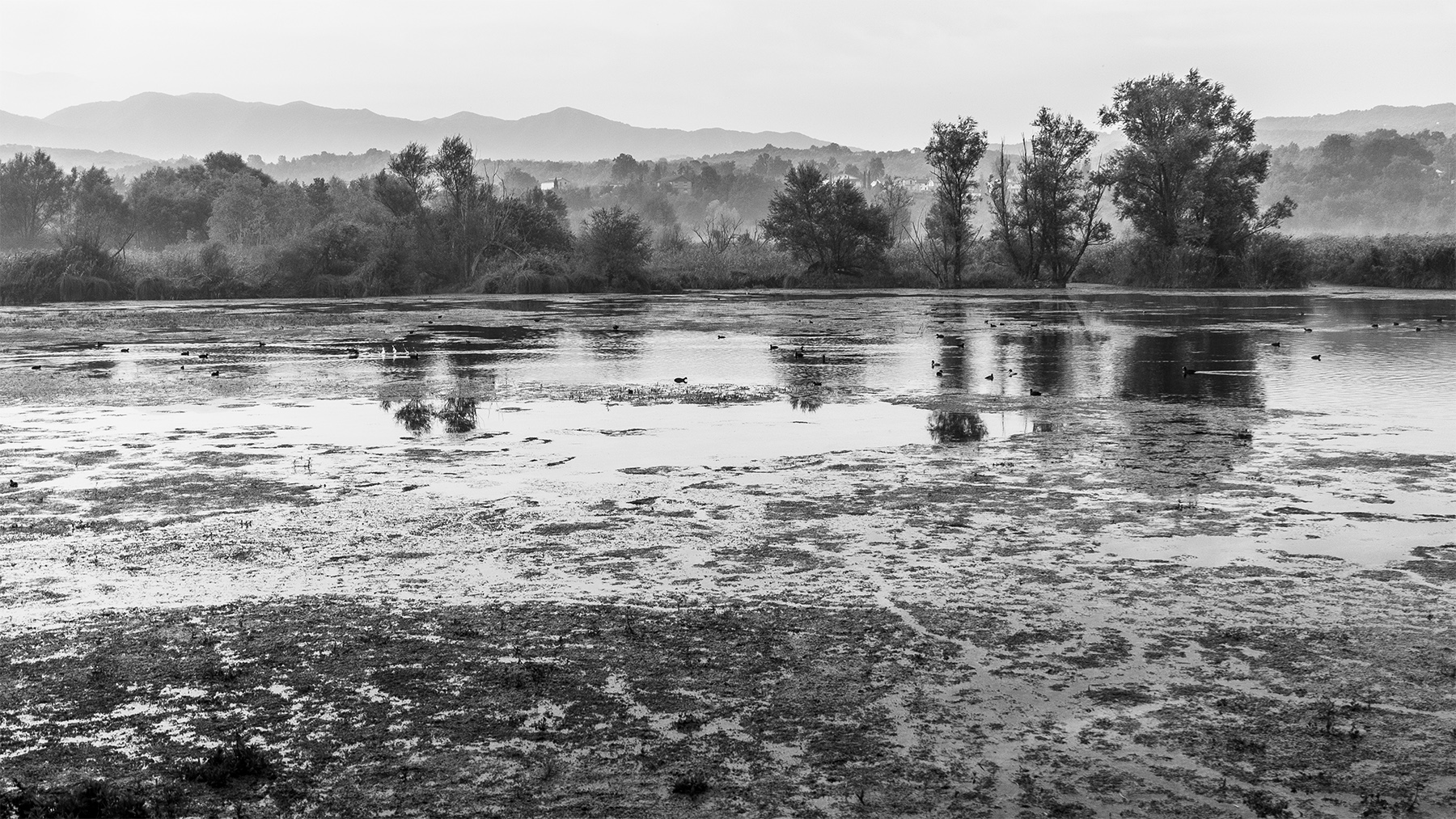 PostaFibreno_FR_Set2020