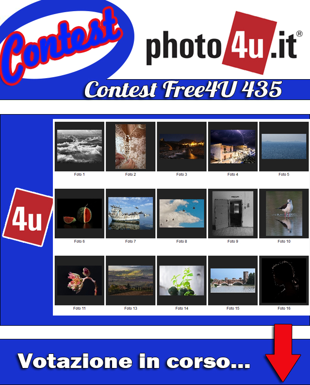 435� Contest: Free4U Votazione in corso...