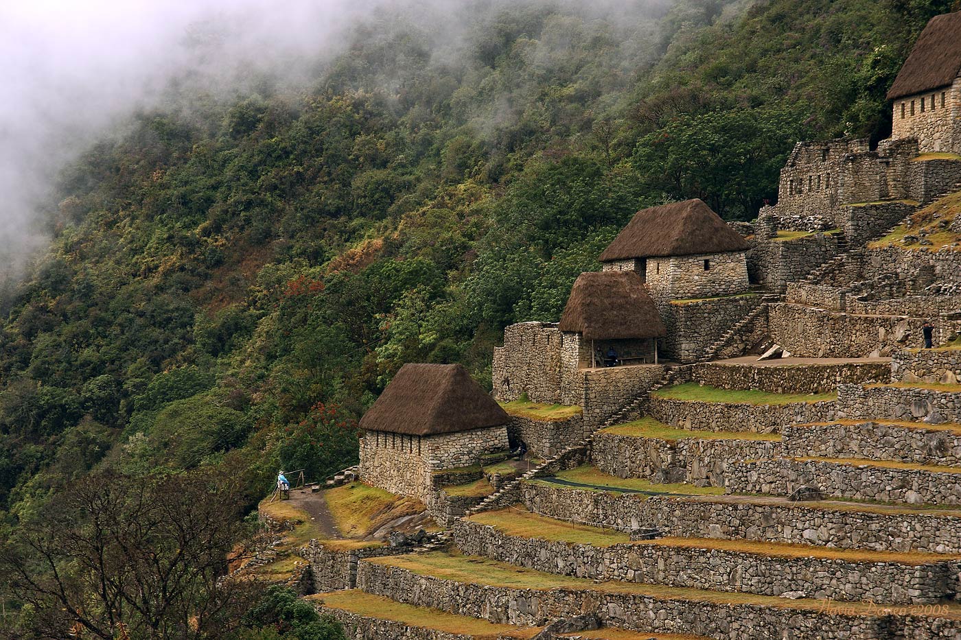 Machu Picchu