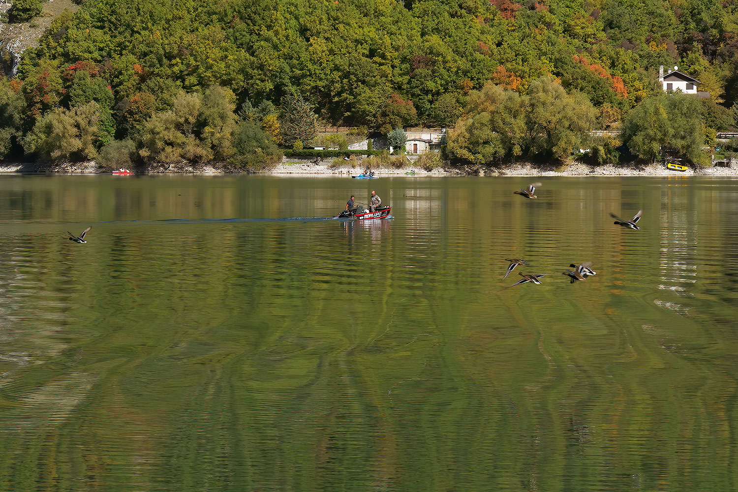 Critica al buio - Foto 073