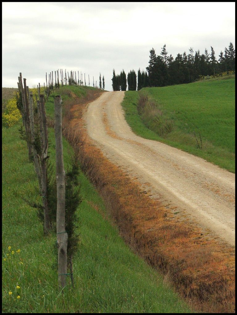 Campagna toscana...