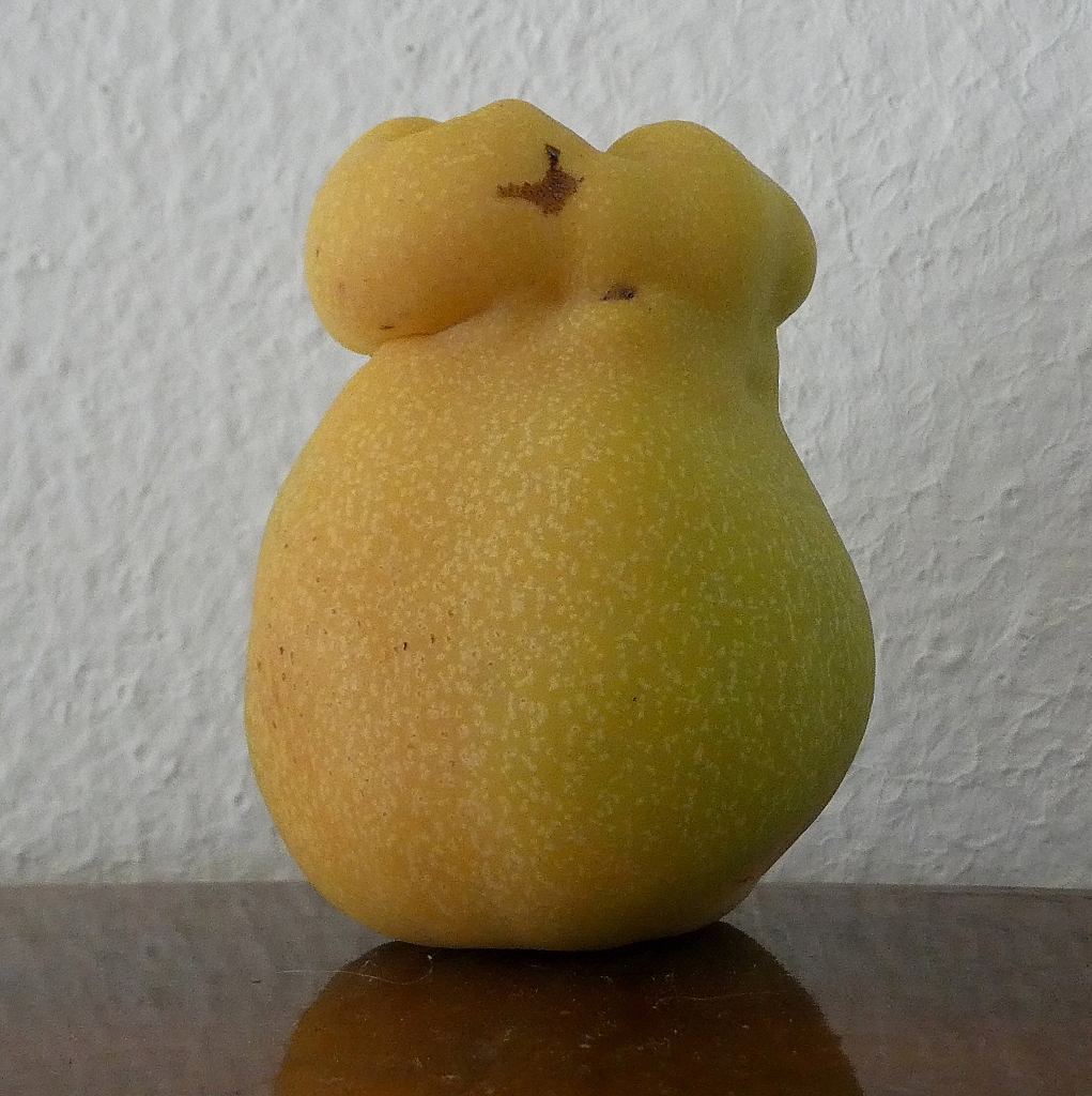 *** Bizzarrie della natura ***