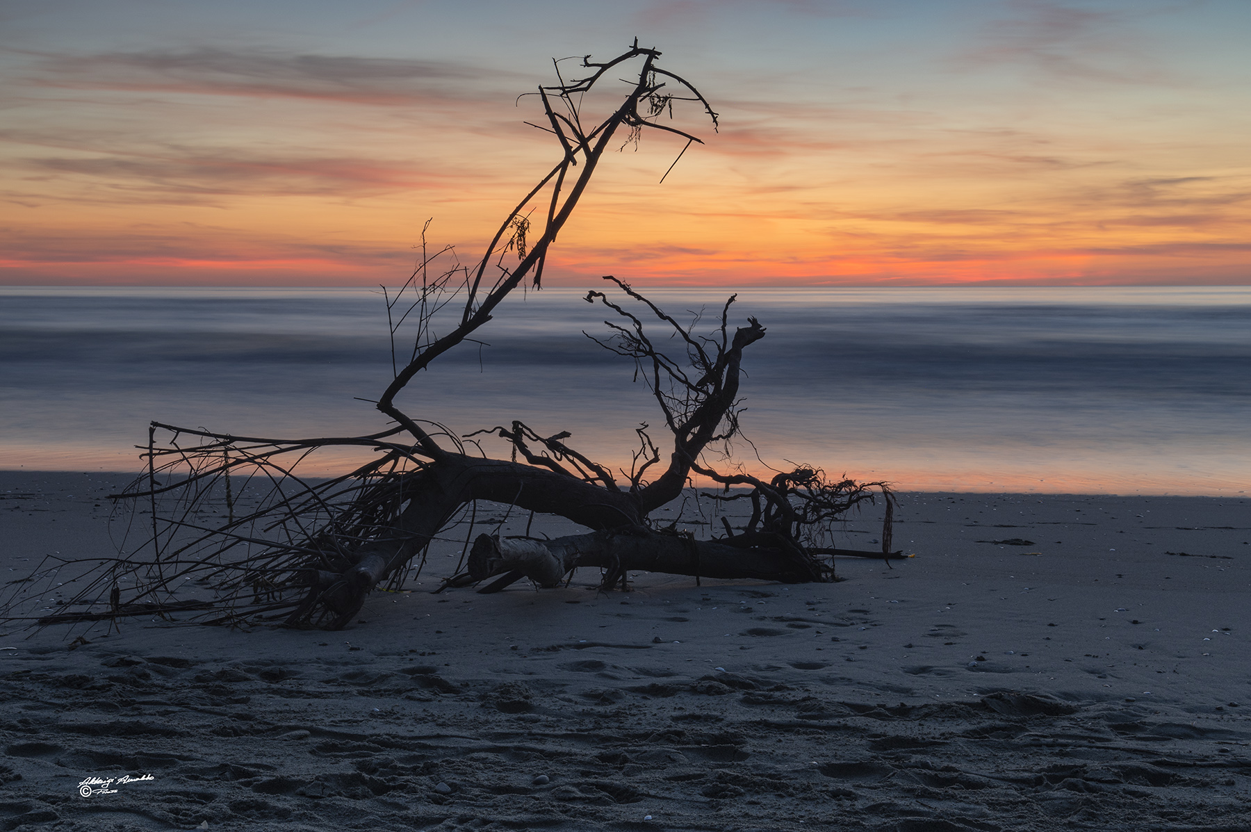 Natura morta.. al Tramonto..