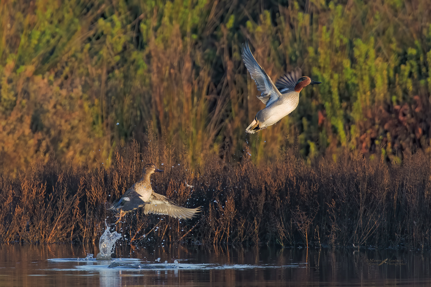 Alzavole-allo-stacco_DSC8015