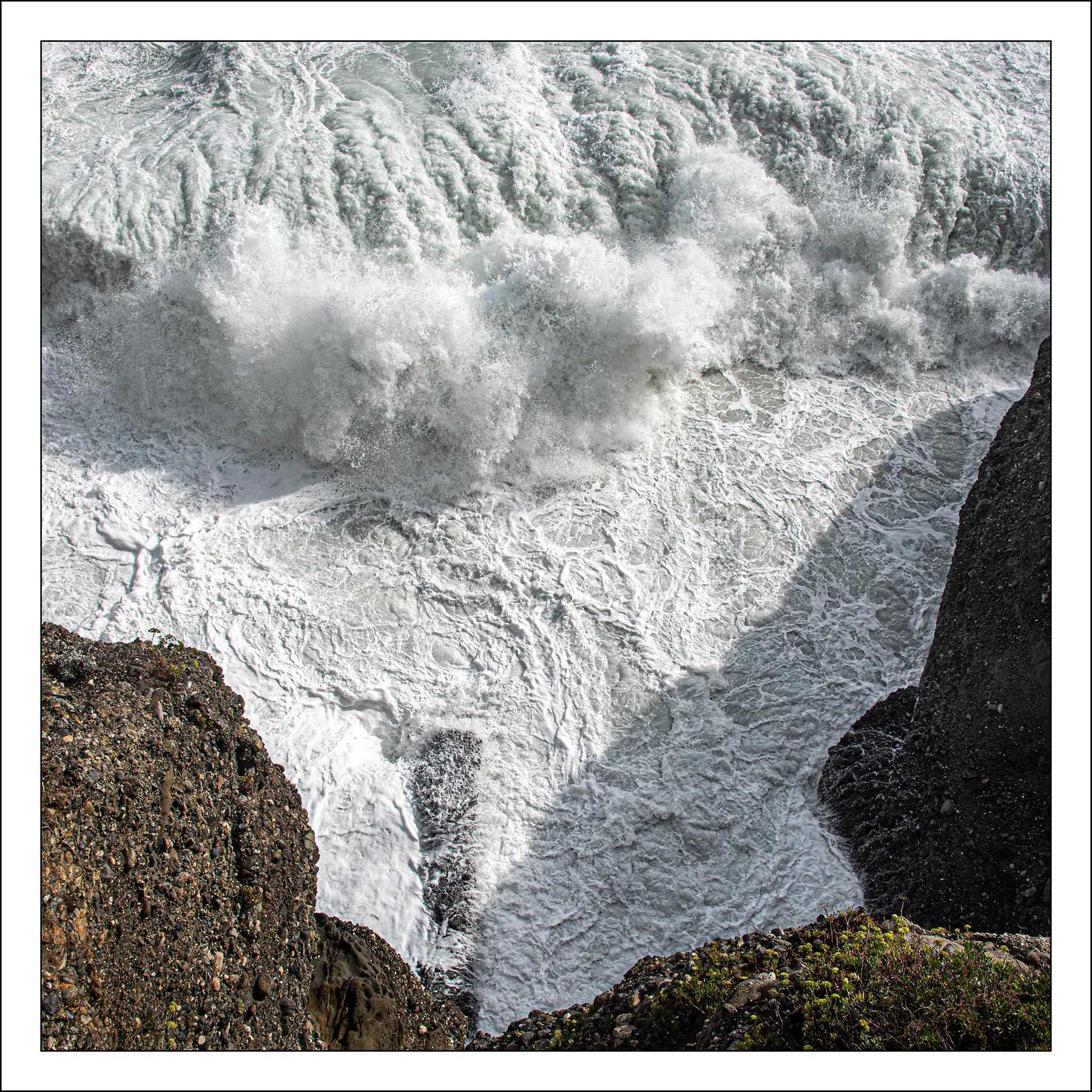 Il ruggito del leone
