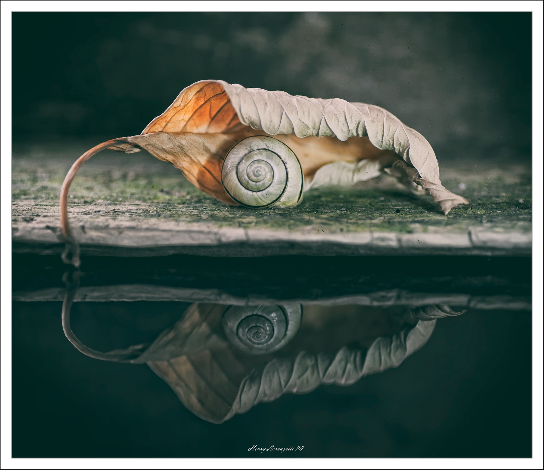 un riparo per l'inverno...