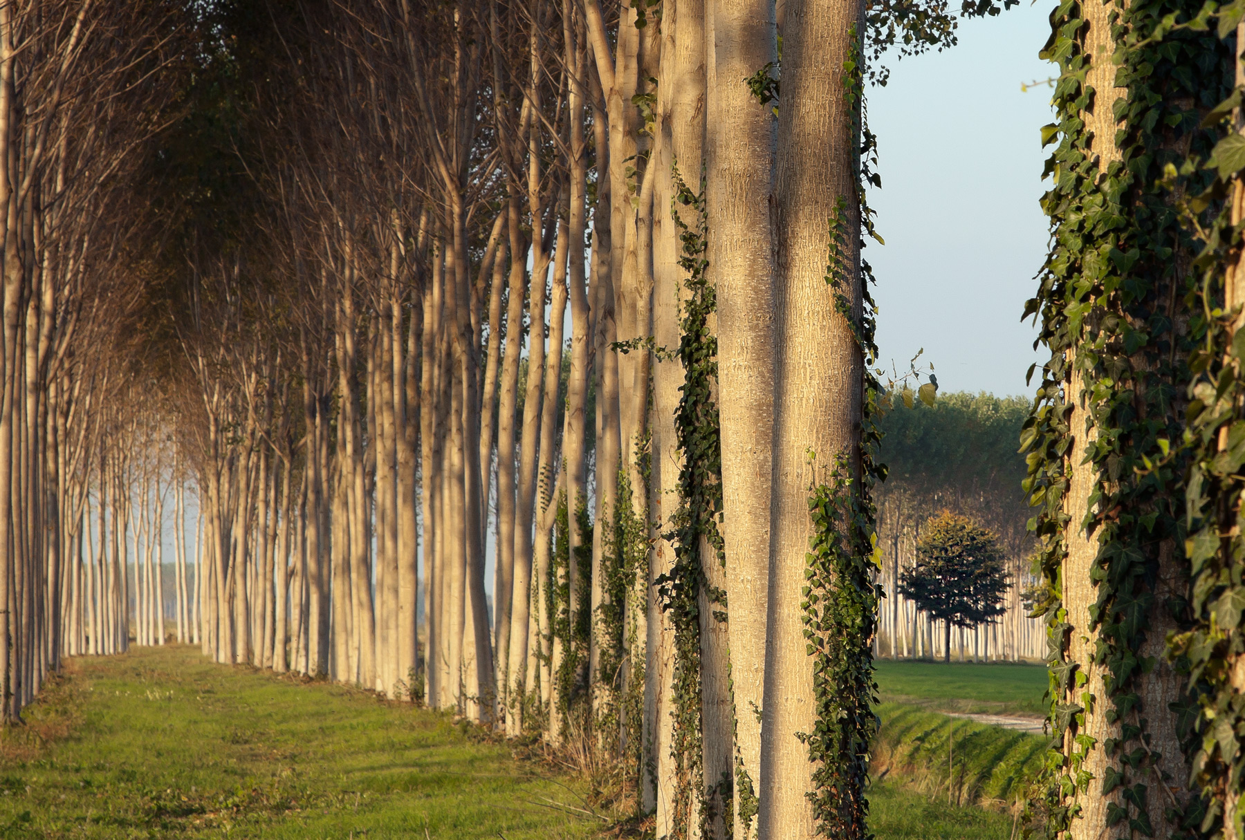 fuori dagli schemi...