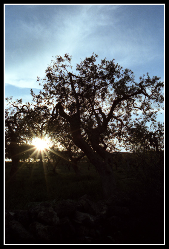 un raggio di sole...