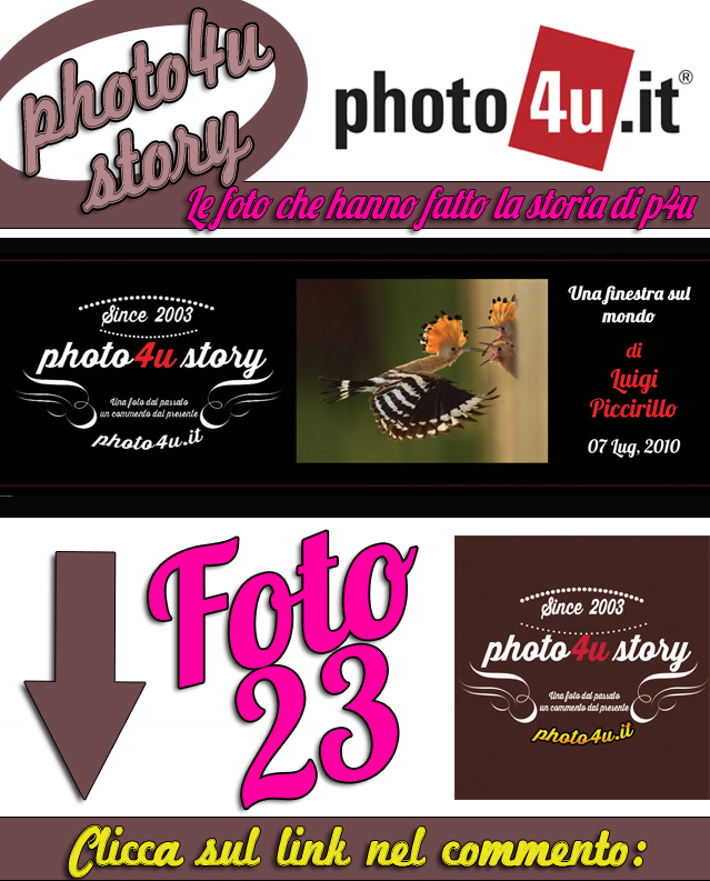 photo4ustory foto nr.23