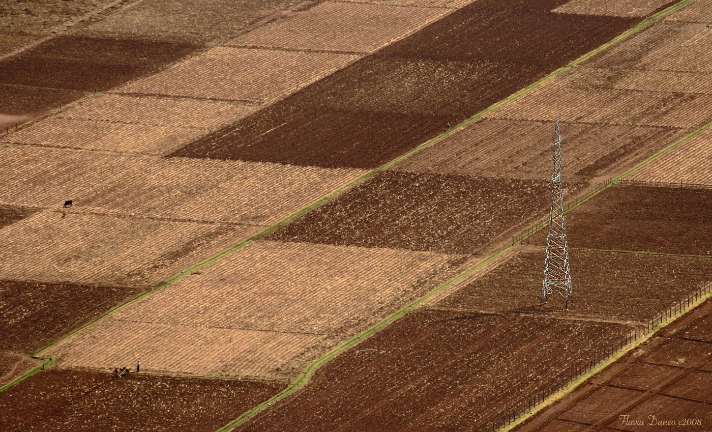 Qui Terra, qui terra