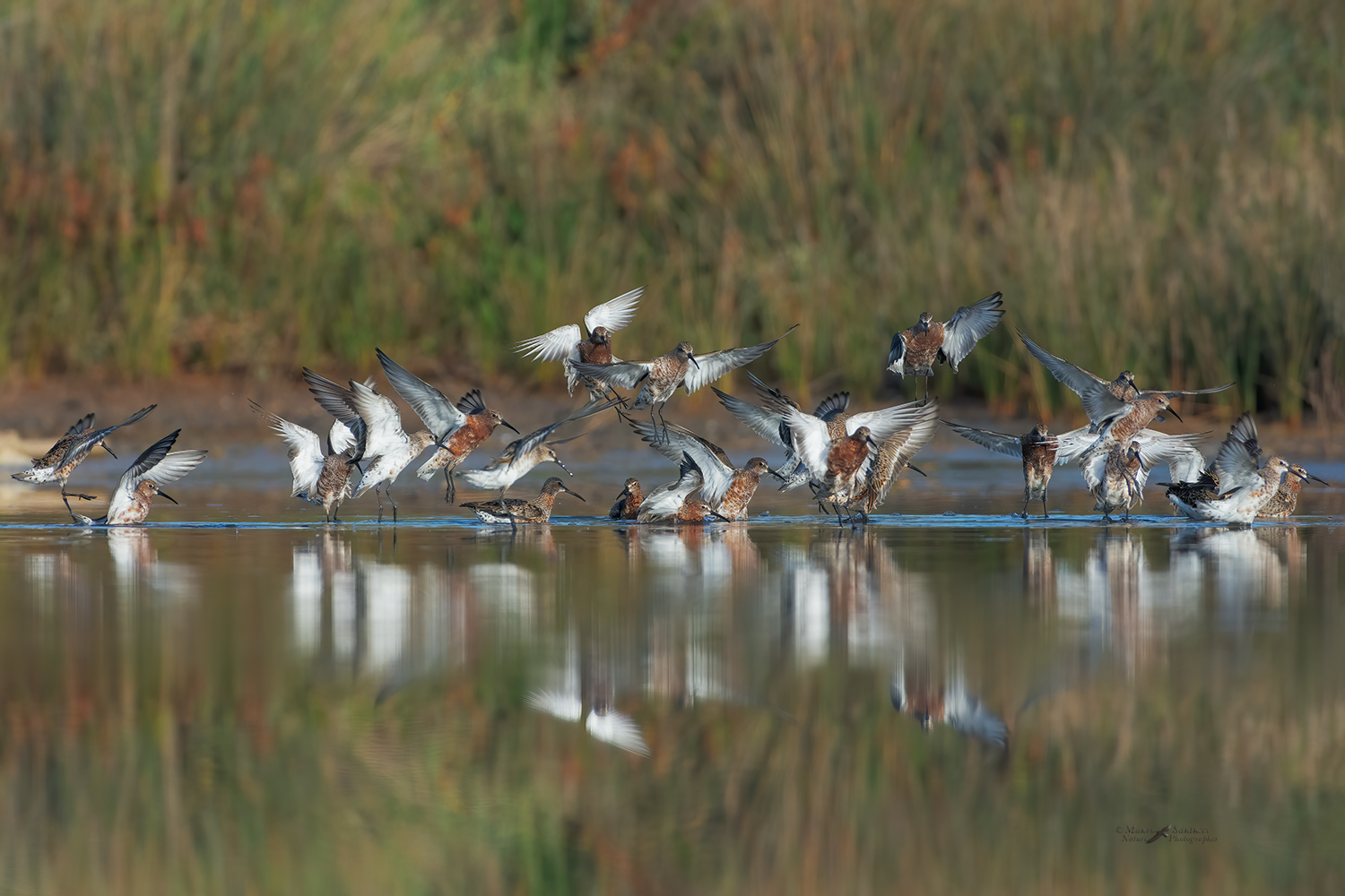 Assembramento_DSC8211