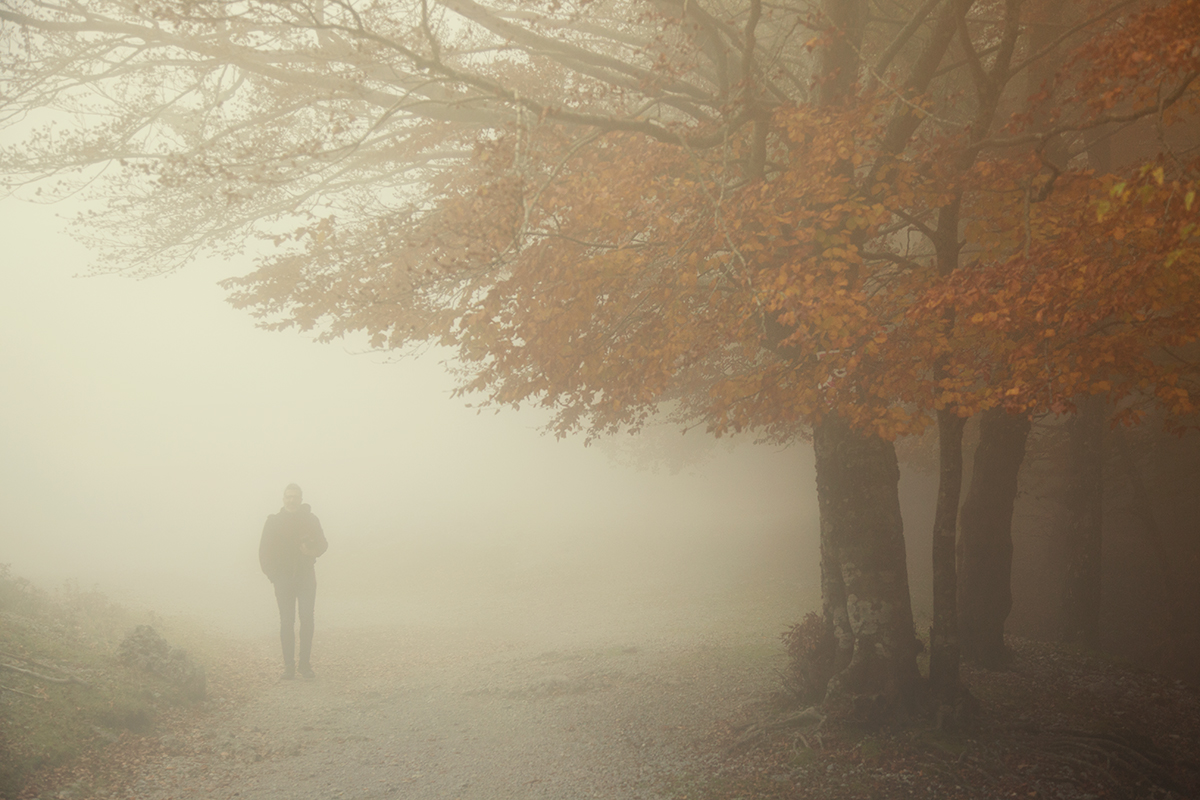 La Nebbia di Ognissanti