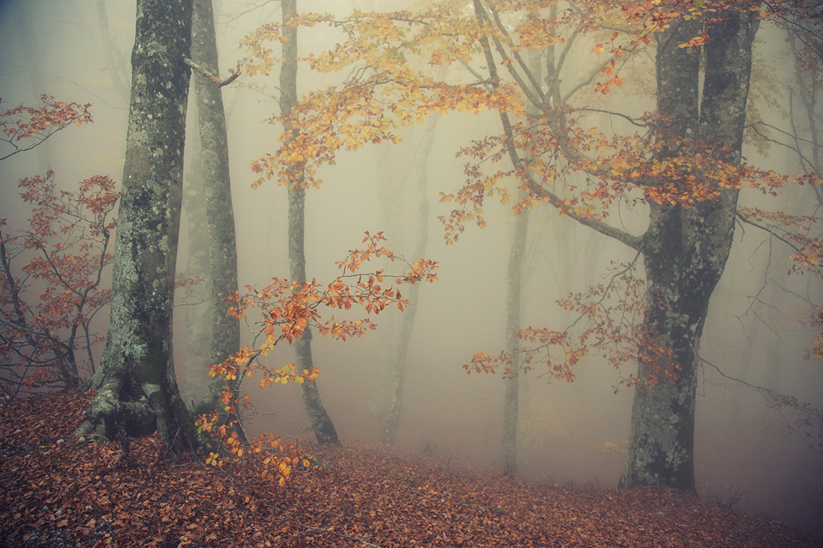 La Stanza dei Pensieri