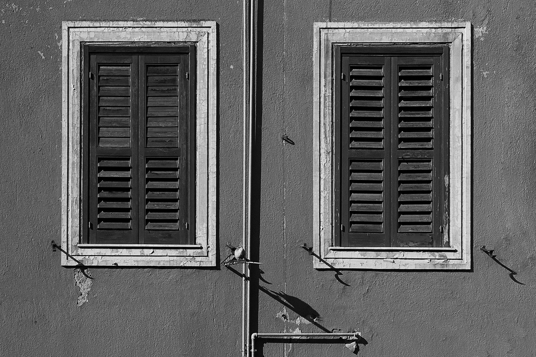 Ospite alla finestra