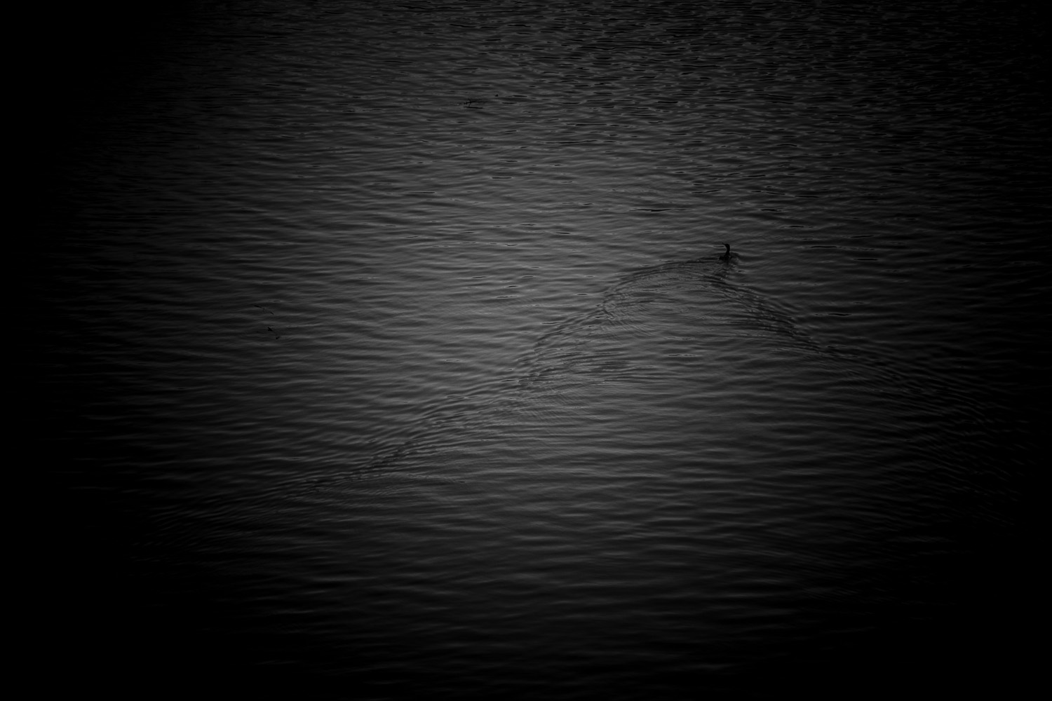 Vagli il paese sommerso..