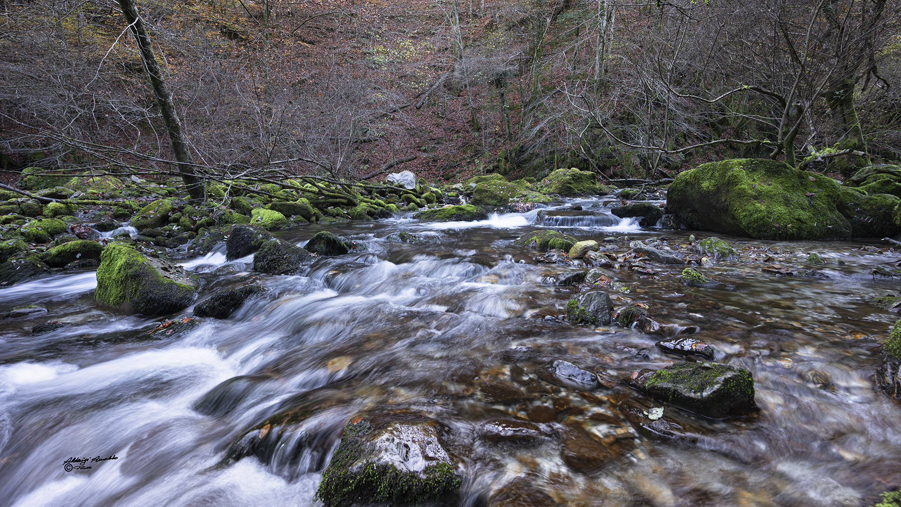 Dentro il torrente..