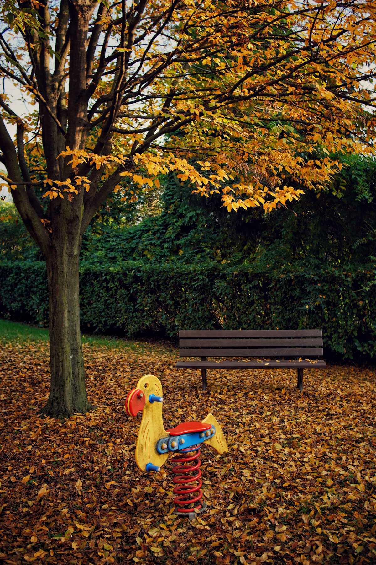 L'autunno senza di noi