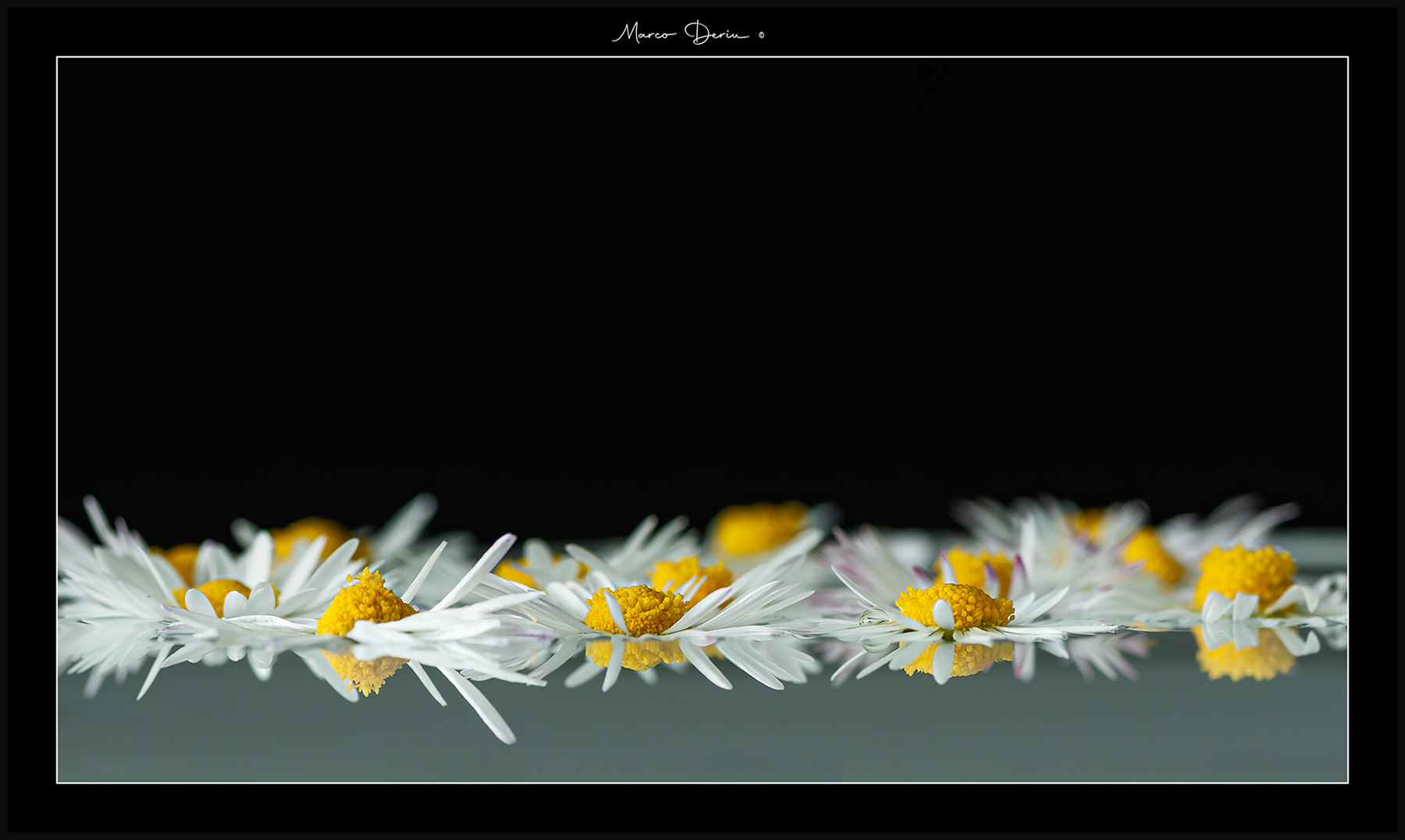 ricordi di primavera