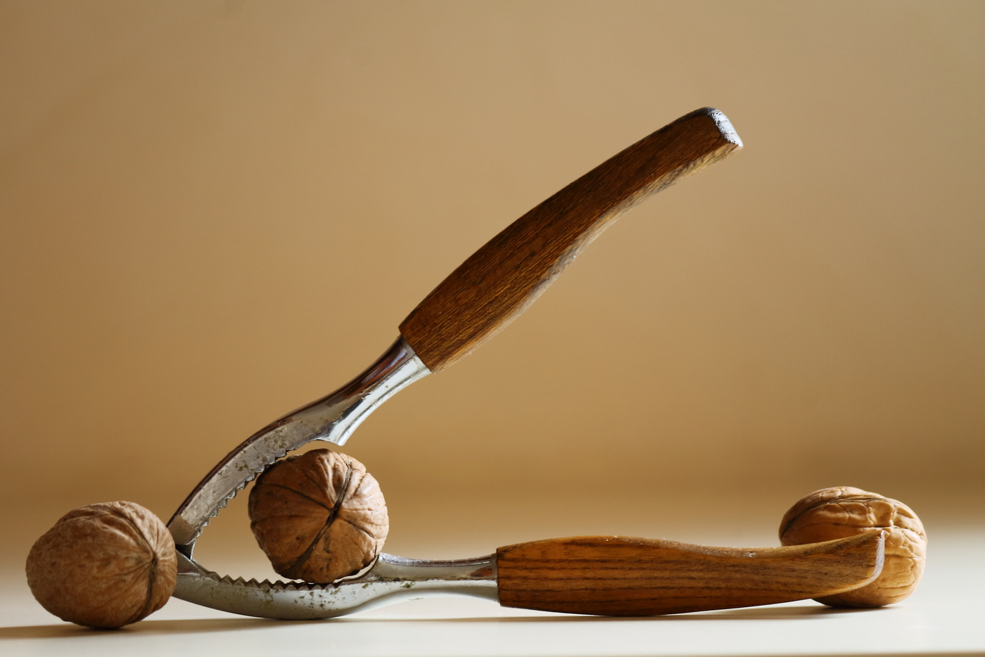 Frutta, secca, di stagione