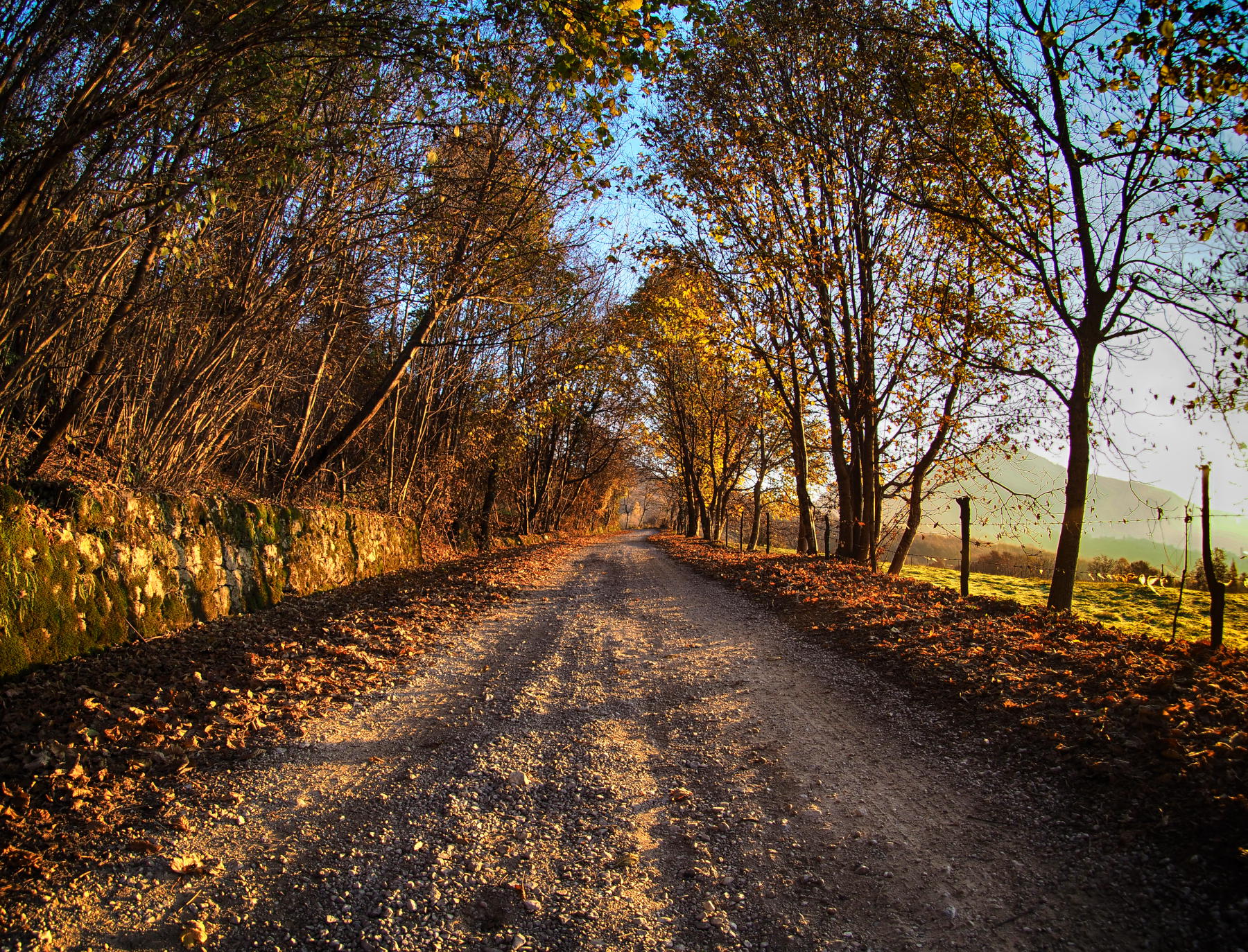 Carrareccia nell'autunno