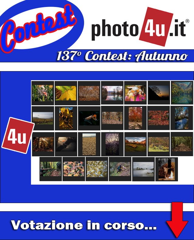 137� Contest: Autunno Votazione in corso