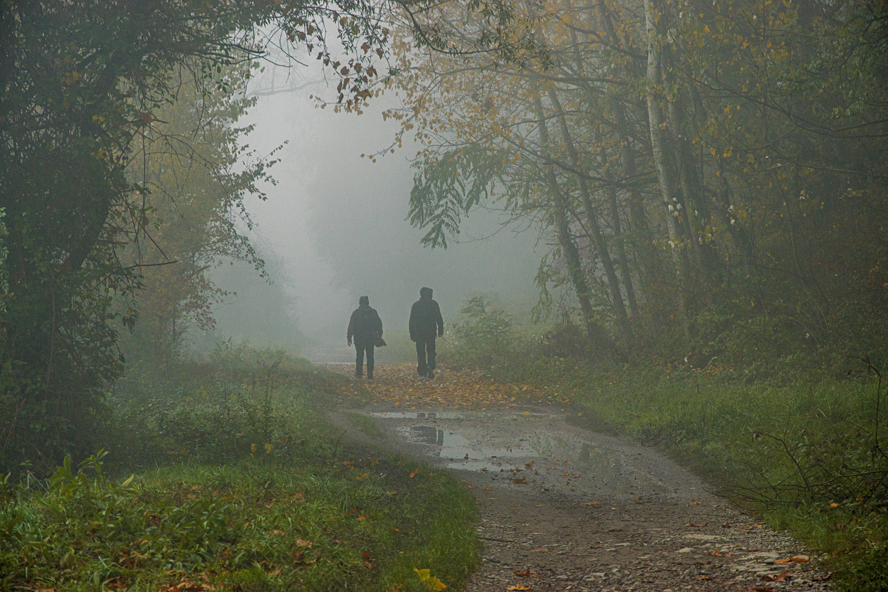 passeggiando nella nebbia