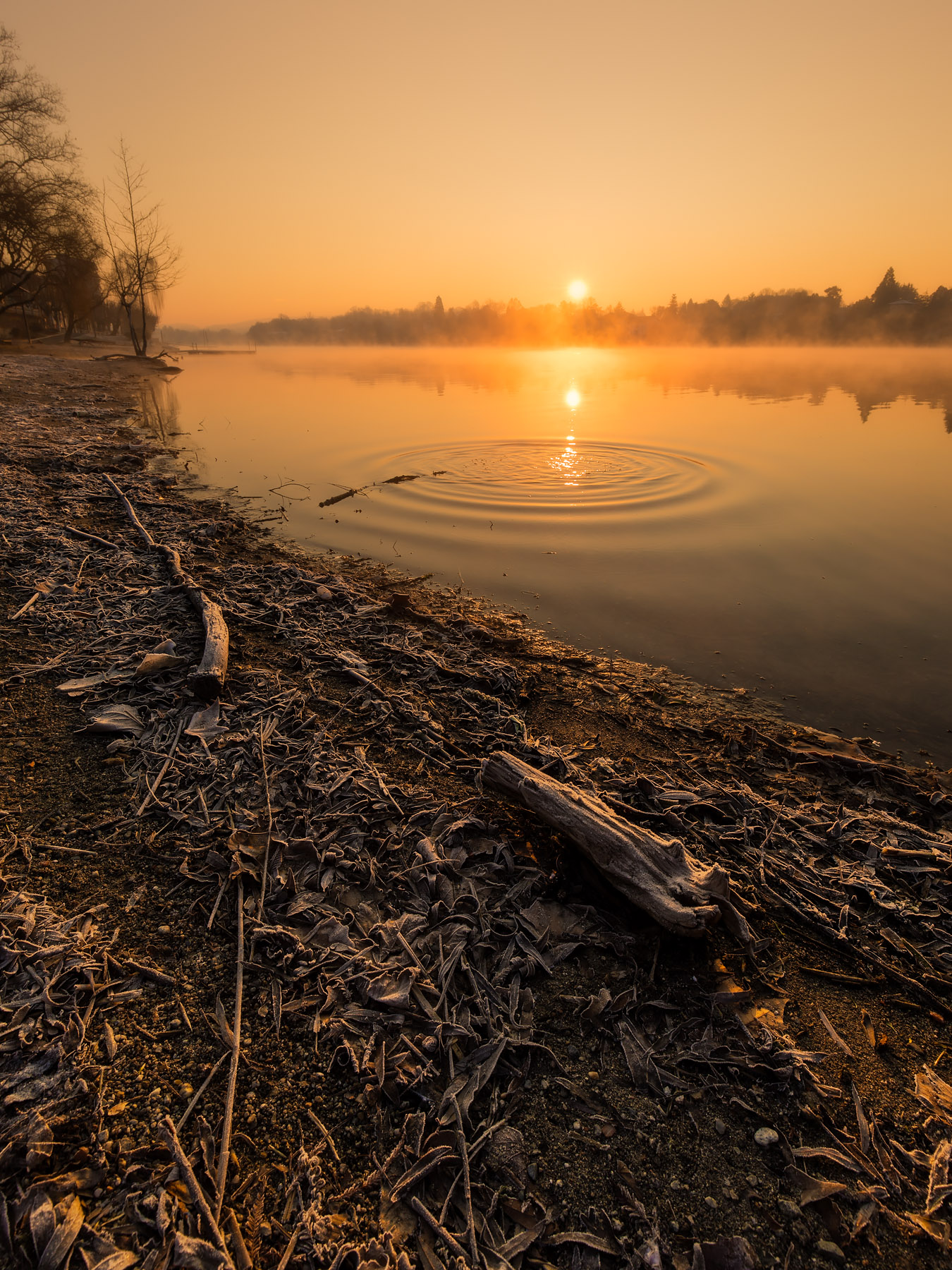 Alba sul Lago Maggiore