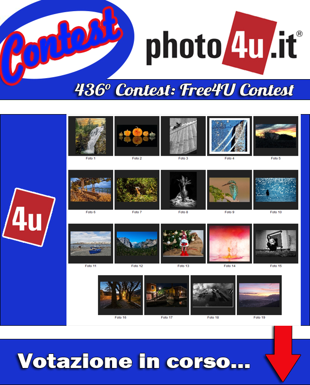 436� Contest: Free4U Votazione in corso...
