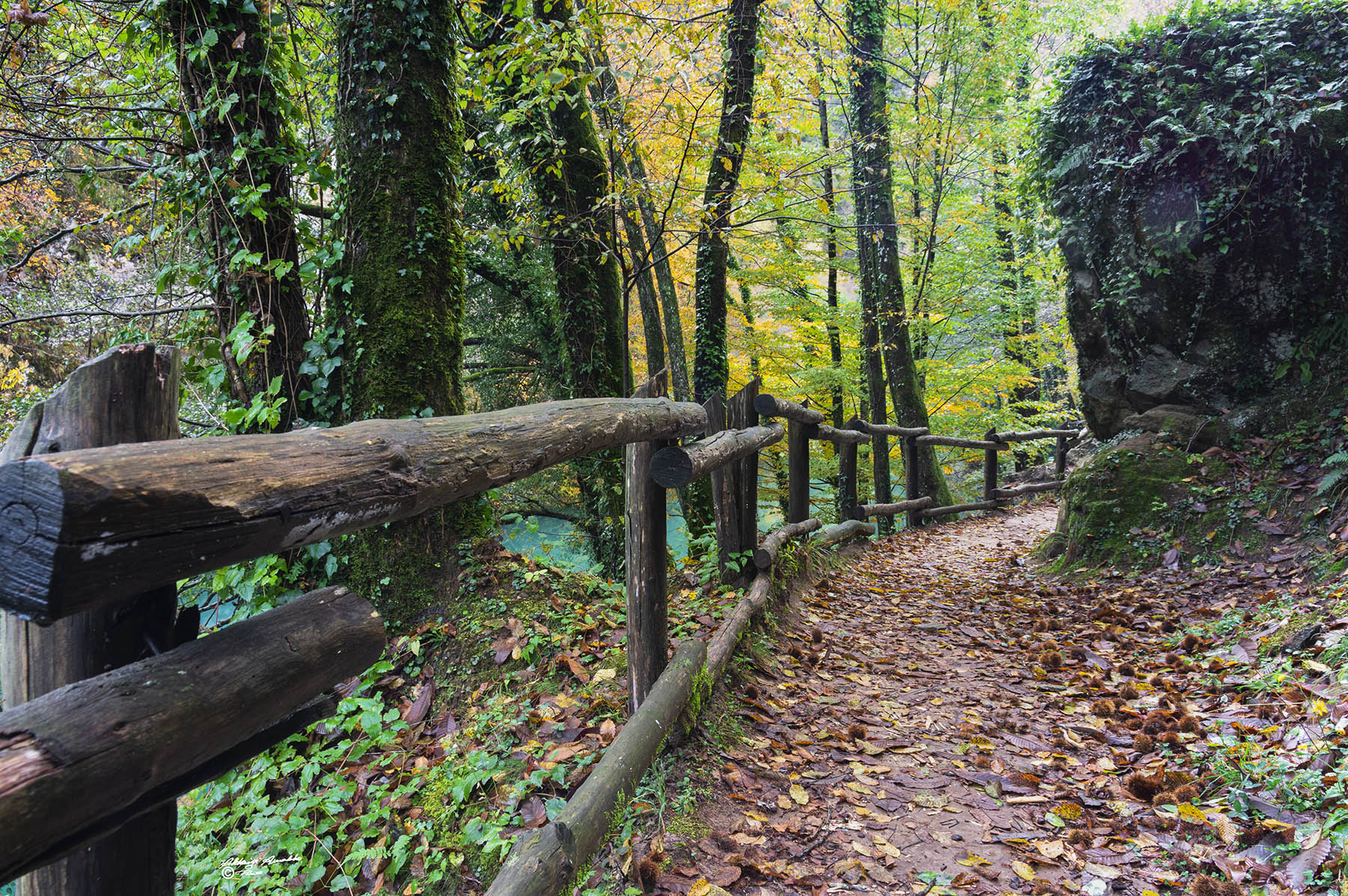 Percorrendo il lago2