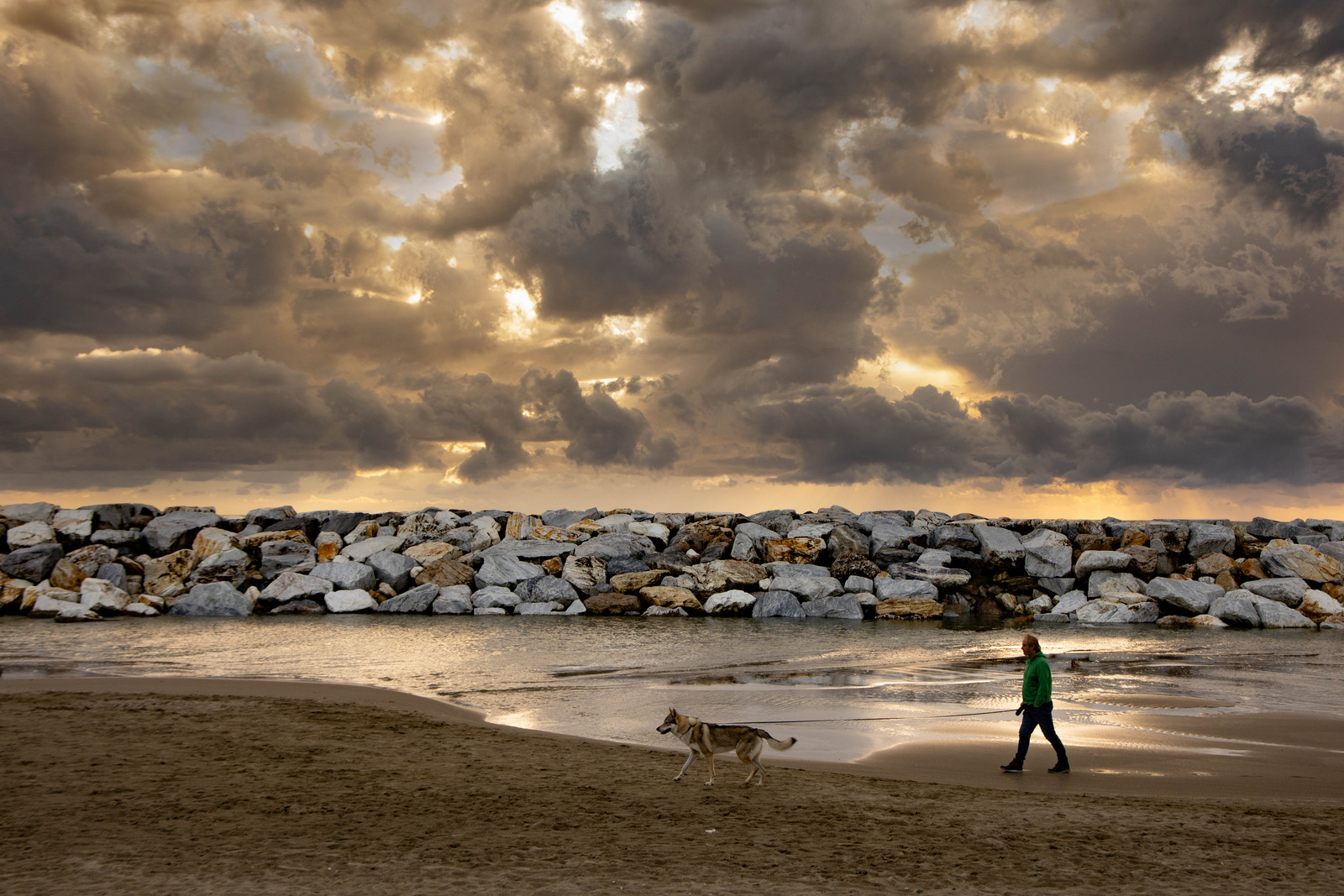 Un cane ed il suo amico