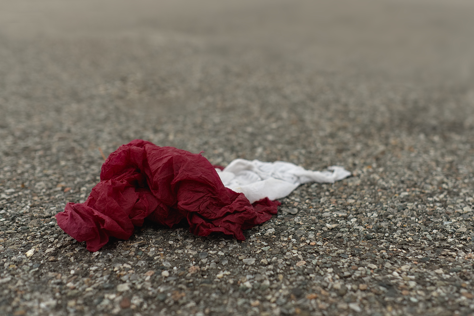 Murder in the House, 1890