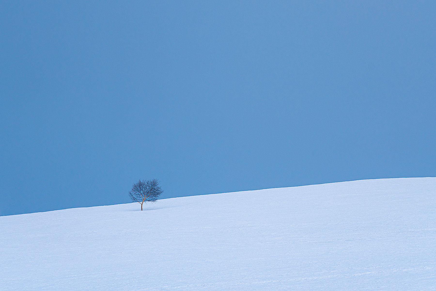 La solitudine � ascoltare il vento e non poterlo raccontare a nessuno