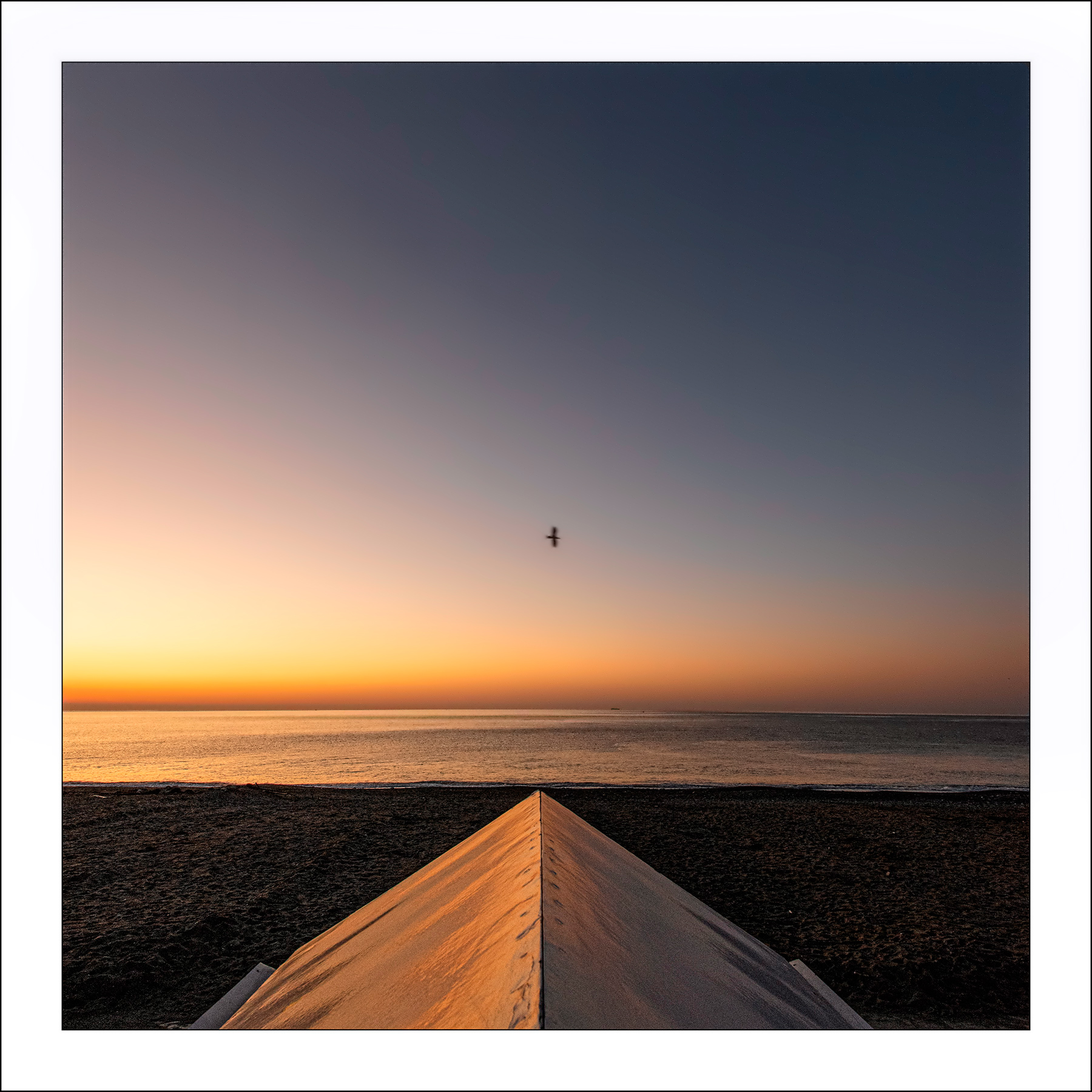 Al centro del...mirino